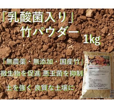国産竹100％｜竹の皮、木、紙、エコ容器の通販サイト【ECOパッケージ