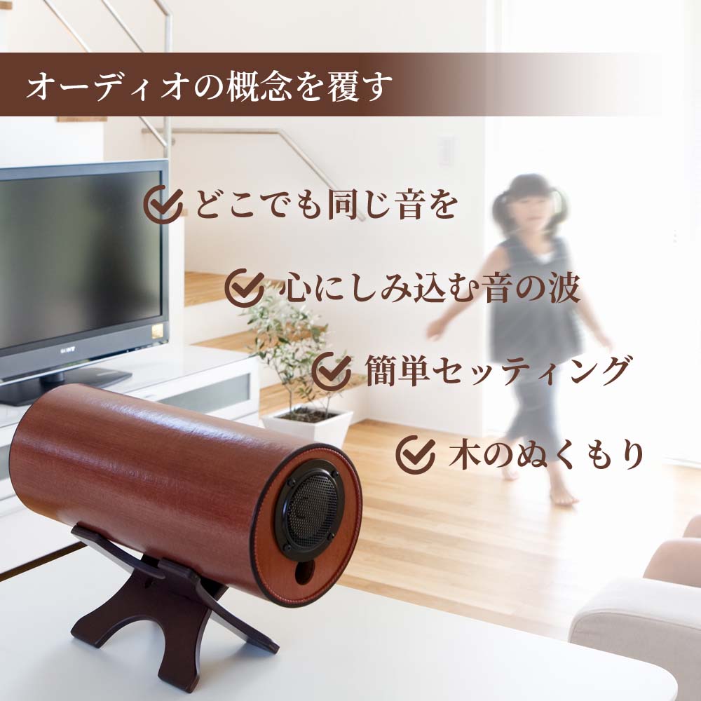 波動スピーカーウォームアンプ WAMP12【送料無料】｜波動スピーカー