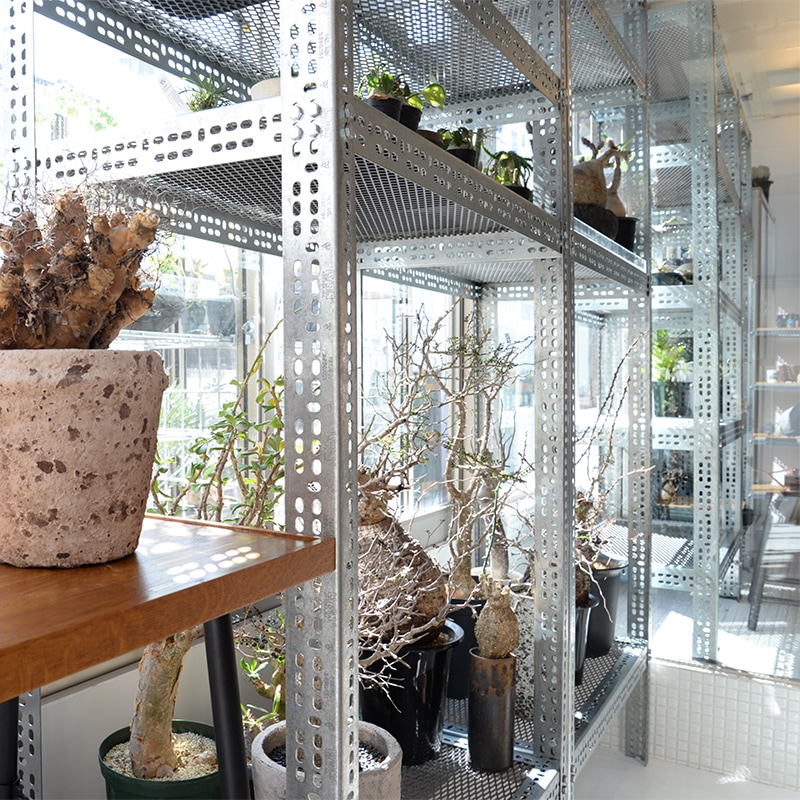 LYON SLOTTED ANGLE SHELF | Metal Products,Cabinet,shelf | | P.F.S.