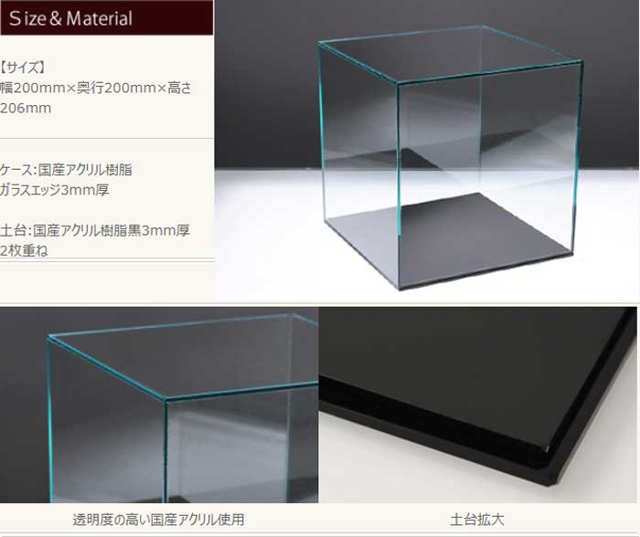 アクリルケースC/5面体/土台付/ガラスエッジ W20cm/D20cm/H20.6cm