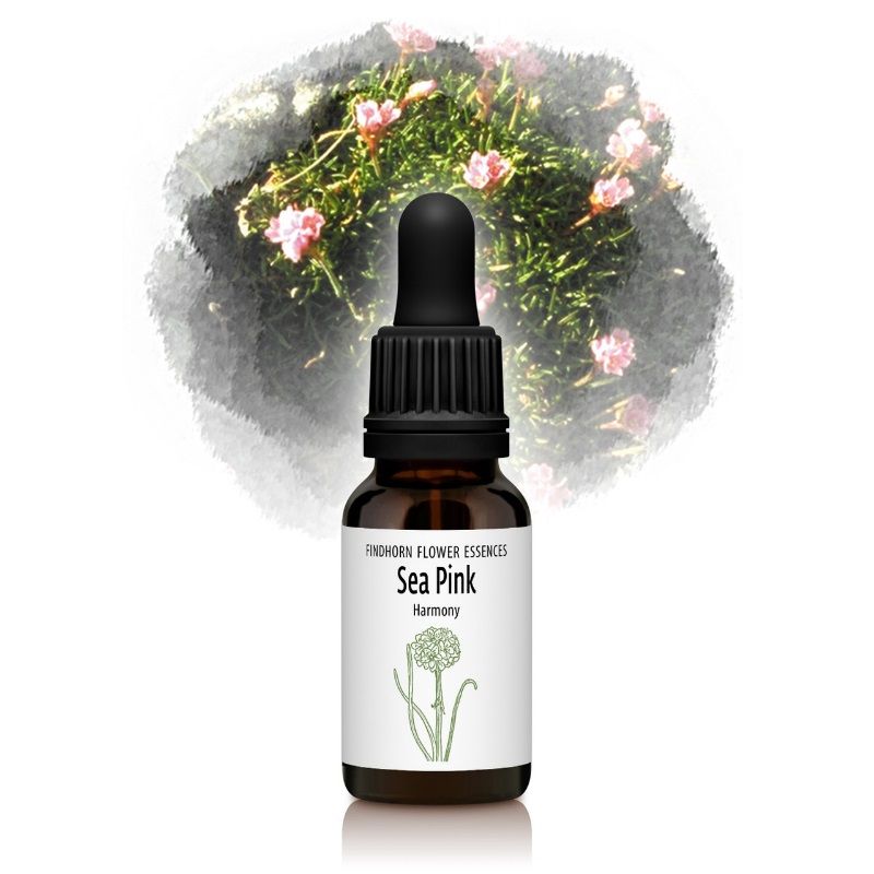 シーピンク（調和と統合）《フィンドホーンフラワーエッセンス》15ml