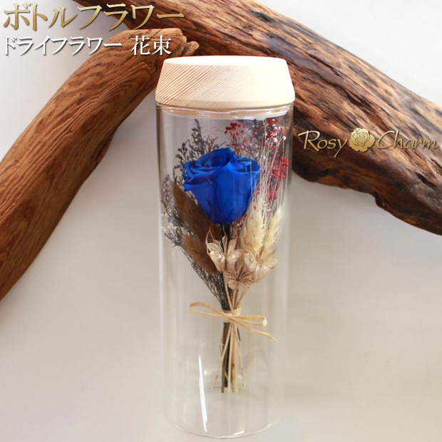 5_000000000243.jpg?1720355116