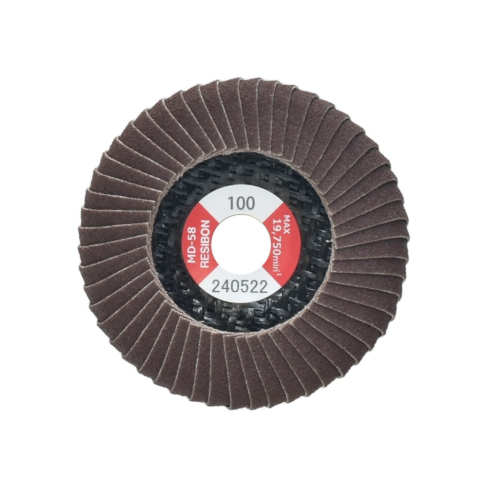 日本 レヂボン ( レジボン ) 研磨用 フラップ ミニディスク MD-58 58x9