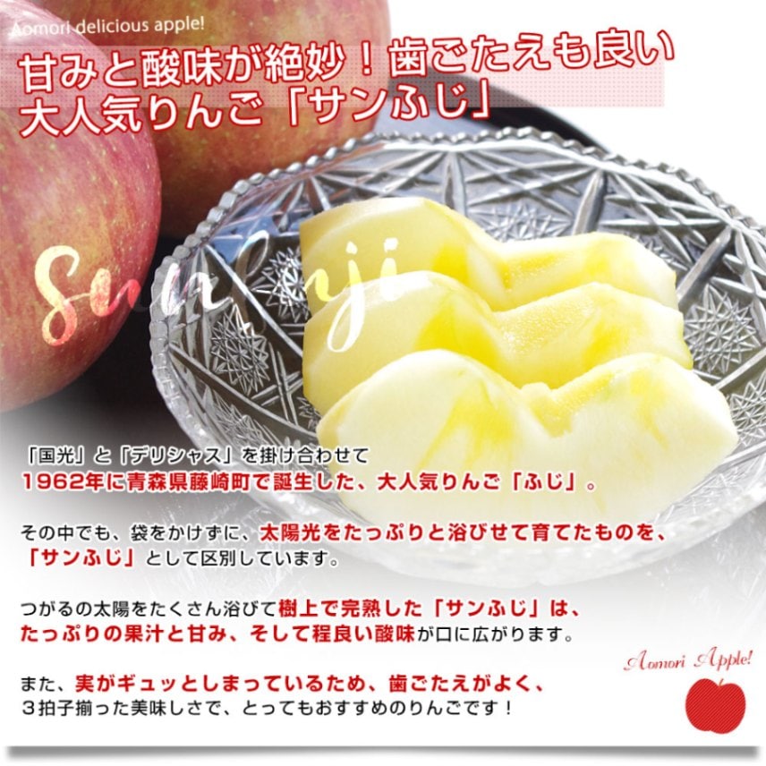 青森県産 JAつがる弘前 サンふじ 約3キロ (12玉) 送料無料 りんご