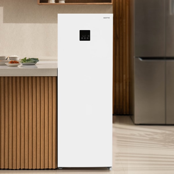 韓国市場] キムチ 冷蔵庫 148L / 1ドア-送料別 スタンド型 | 韓国市場