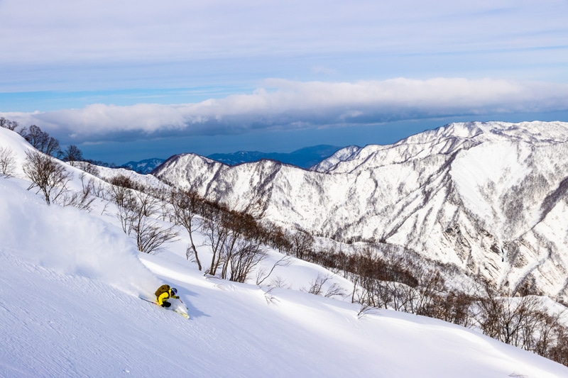 アライマウンテンリゾート スプリングシーズン エコノミークラス