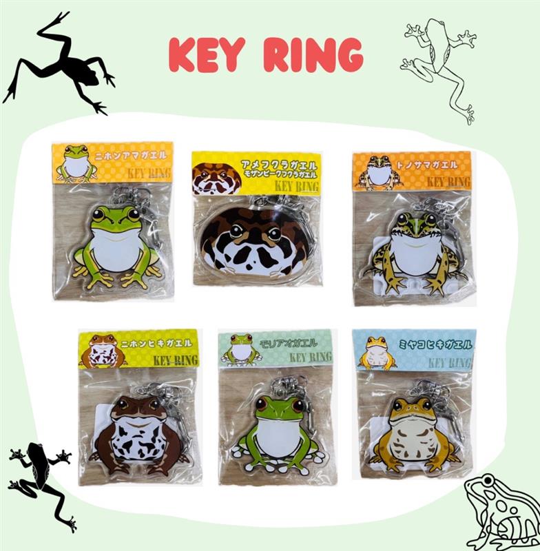 カエルアクリルキーリング（各種） | サンシャイン水族館 online shop