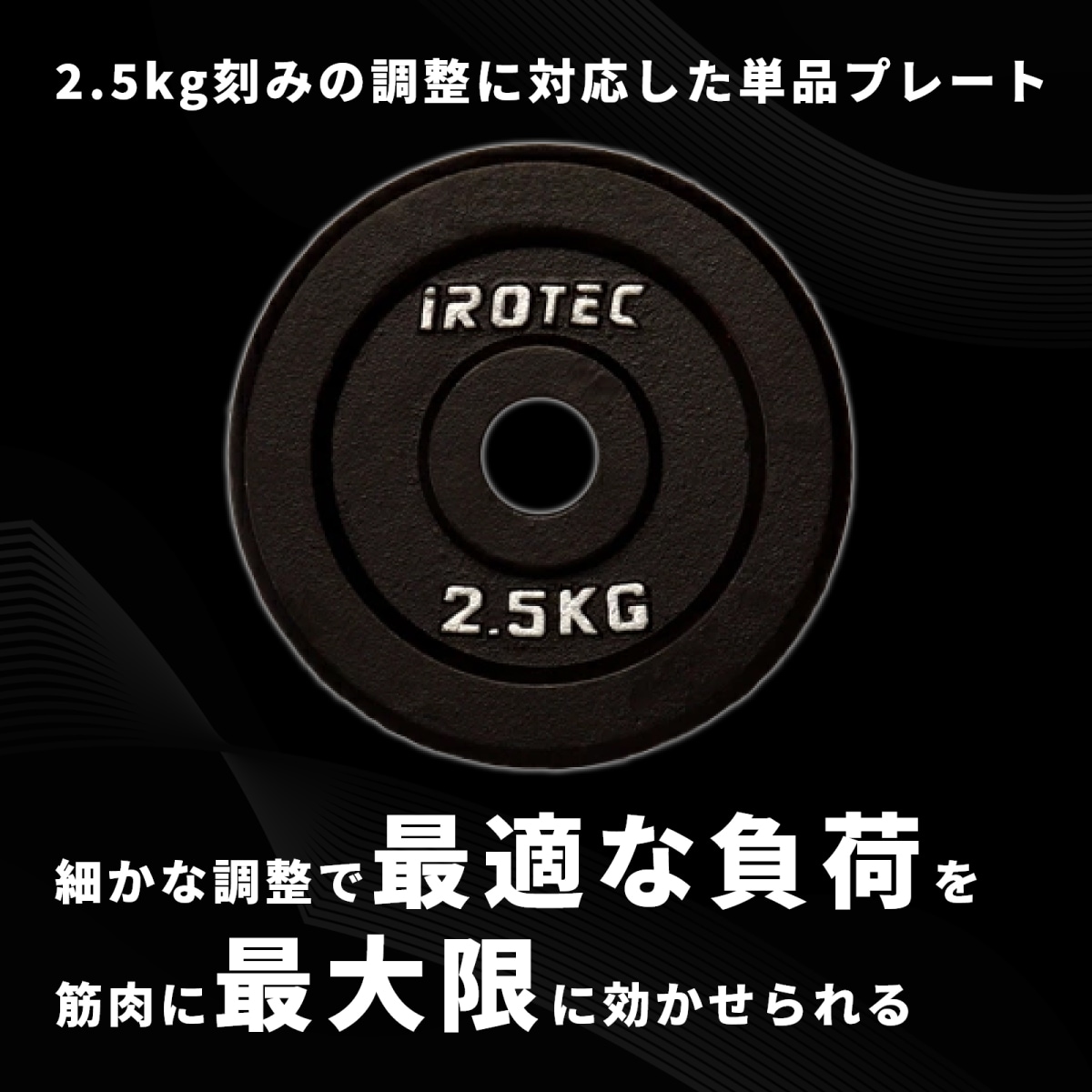 アイアンプレート2.5kg(1枚)【穴径29mm】 IROTEC (アイロテック)