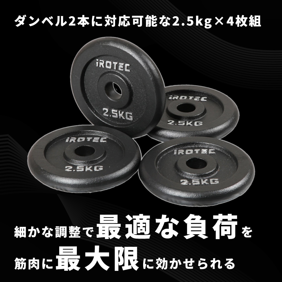 アイアンプレート2.5kg(4枚) IROTEC (アイロテック)