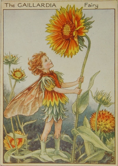 シシリー・メアリー・バーカー 挿画本「花の妖精・庭」 | | アトリエ