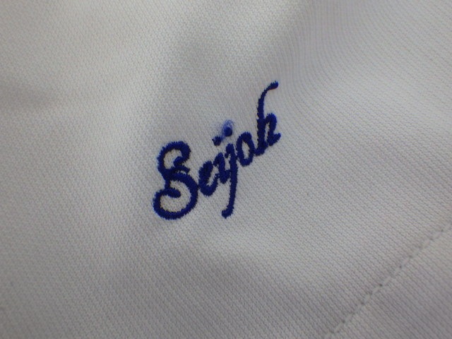 V63 愛知県 星城高校 ブレザー+半袖ポロシャツ+長袖シャツ+セーター+冬