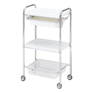 エトロワヴァン(ETROIT XX) ロイヤル 美顔スチーマー（複合機） タカラ