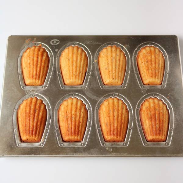 シルバー天板 マドレーヌ型 8P シリコン付 1個入 松永製作所 KMP009-1