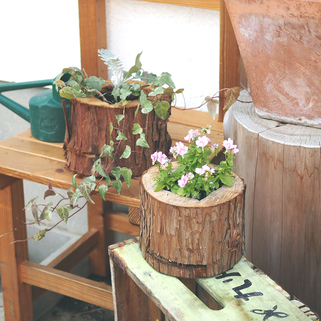 森のポット/丸太プランター | 木工房 moqu cOmo | 糸島くらし×ここのき