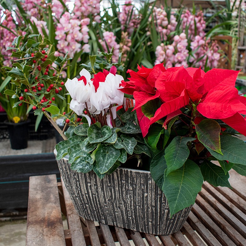 ER5-75B】 【長方形38型】 【底穴有】 38㎝寄せ植え鉢 | 一般のお客様