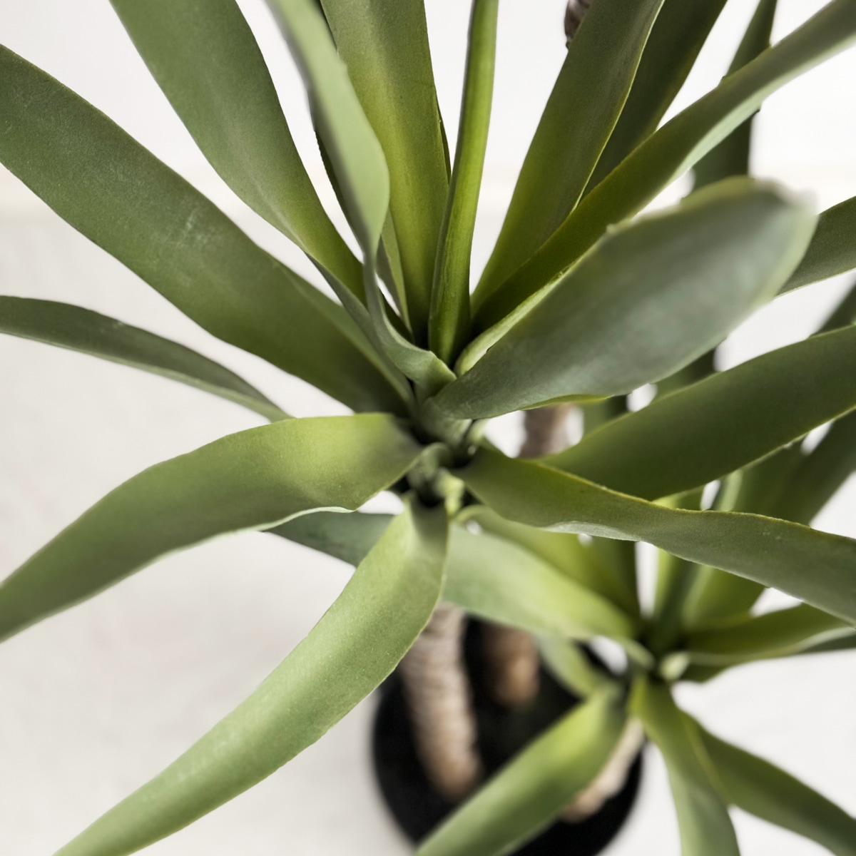 ユッカ・エレファンティペス H150cm｜フェイクグリーンならデコレラ