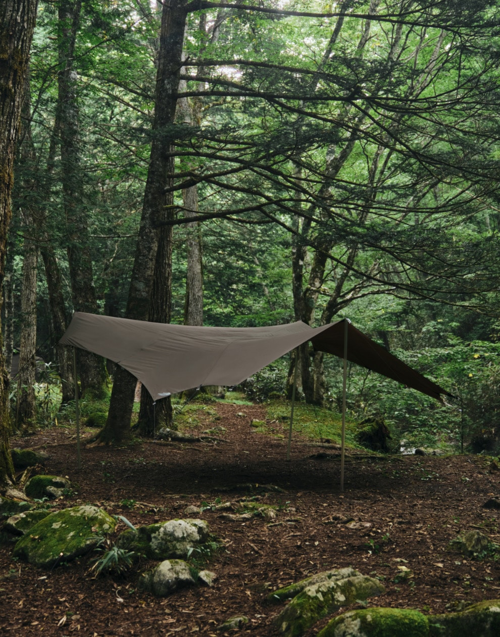 THE NORTH FACE NEBULA TARP 6 オリーブ THE NORTH FACE NEBULA TARP 6 NEWTAUPEGREEN 22SS-I（ザ ノース