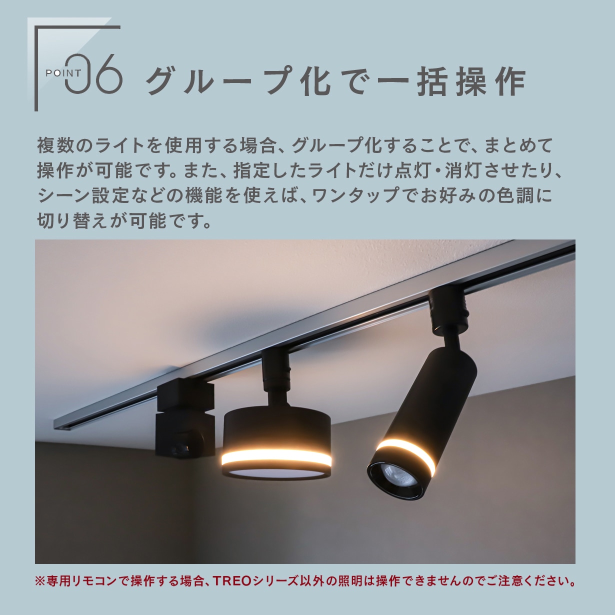 TREO】エジソンスマート トレオ ミニスポットライト ブラック ダクト