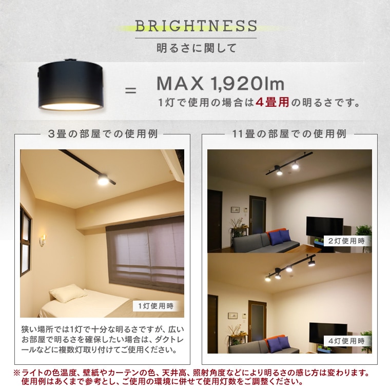 エジソンスマートミニシーリングライト アーム付き(ダクトレール用