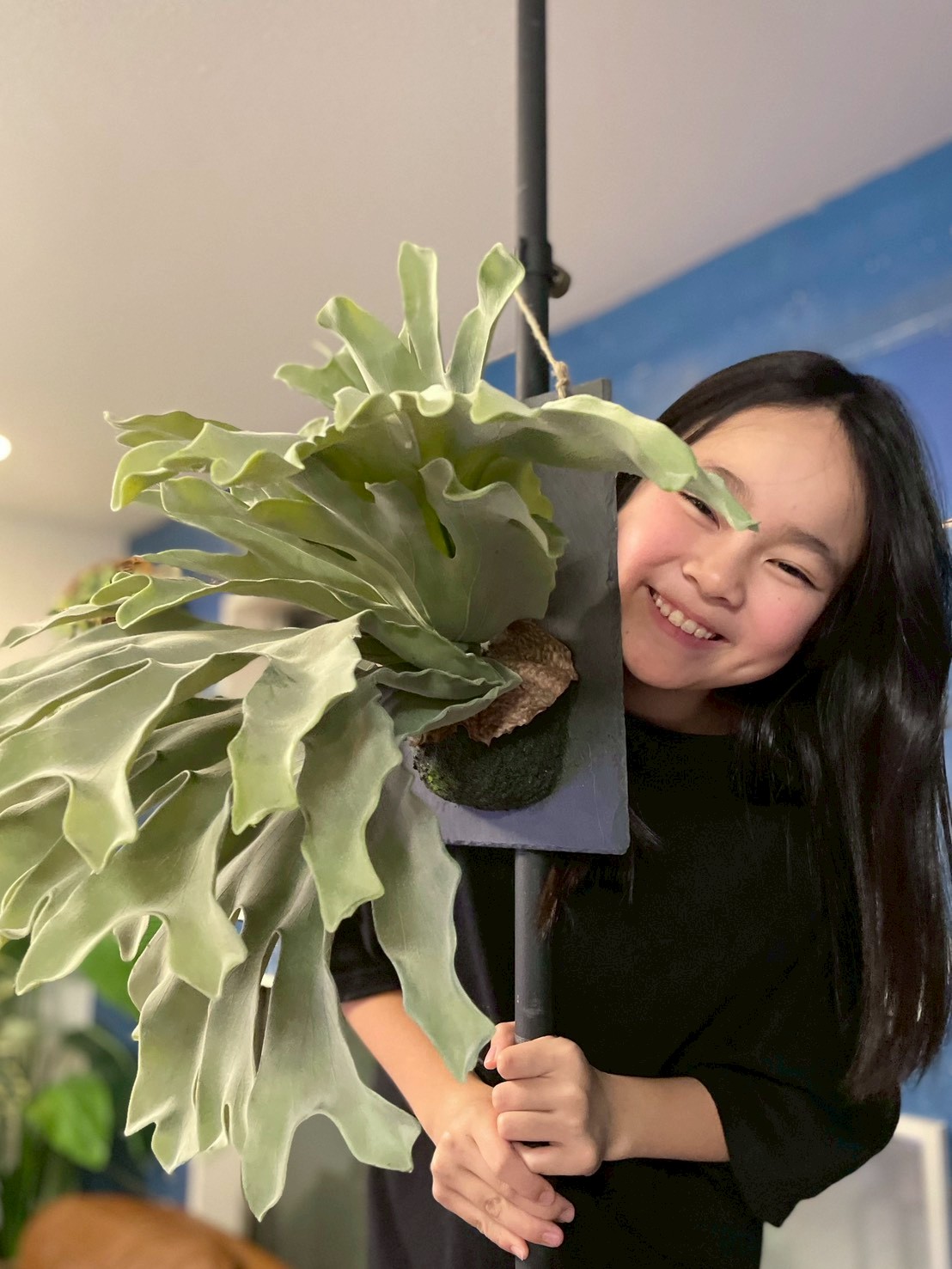 大きな板付けコウモリラン|おしゃれなフェイクグリーン・人工観葉植物