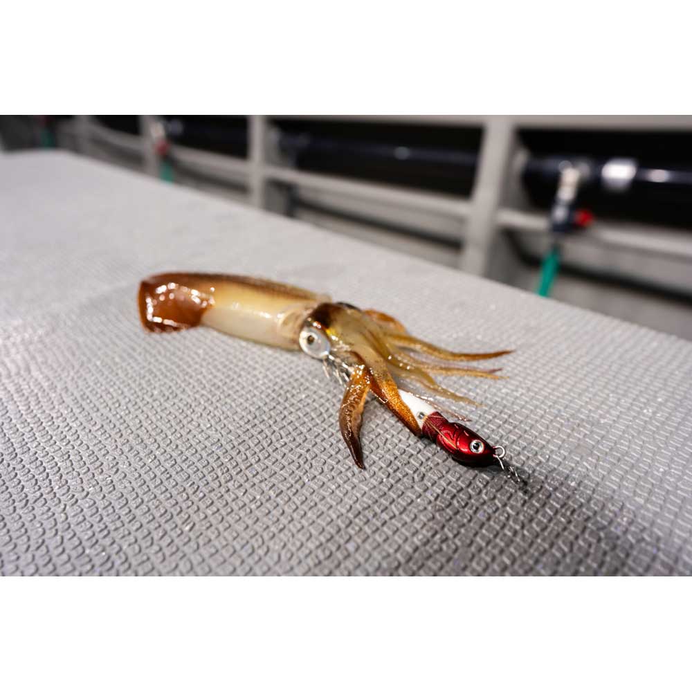 アニサキス アニサキスッテ【メール便可】通販｜釣具通販 いのまた釣具店