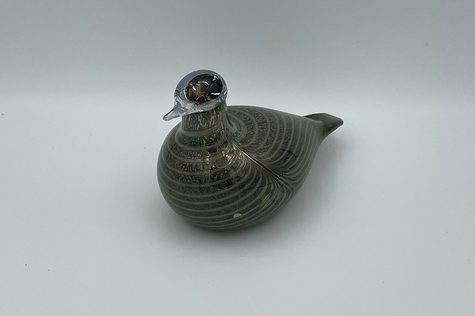 ヴィンテージ】10 Alli／Long-tailed duck グリーン フリーデザイン