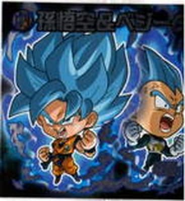 W11-S1 孫悟空＆ベジータ/ゴジータ WGR | ドラゴンボールシリーズ