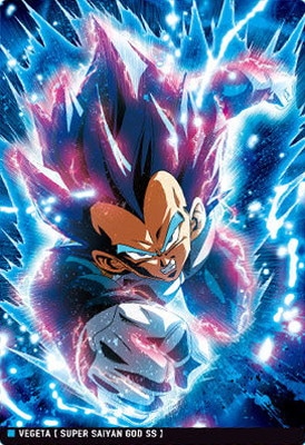 1-10 ベジータ(超サイヤ人ゴッド超サイヤ人) R イタジャガ