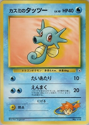 PK-PMCGPG1K カスミのタッツーLV.10 【ハナダシティジム カスミ