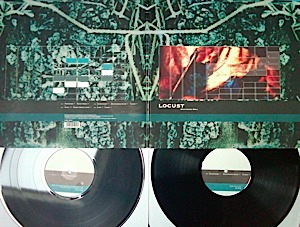 Locust Weathered Well (Mark Van Hoen)