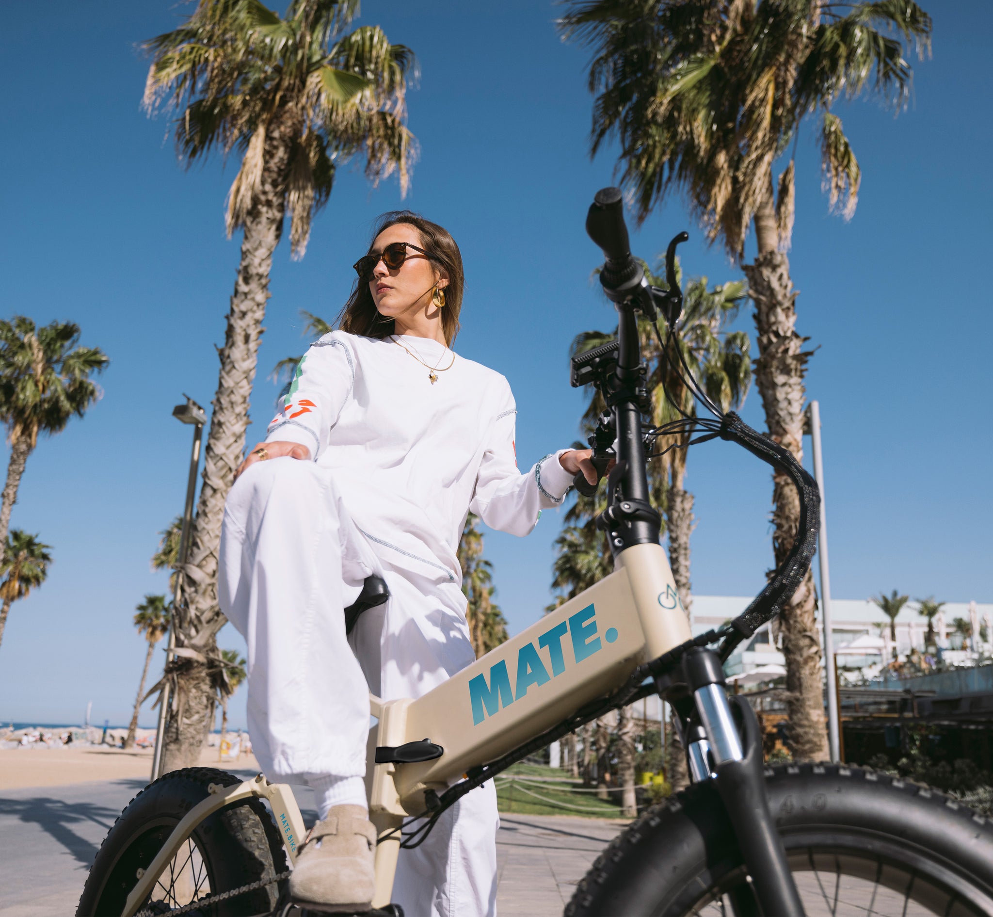 MATE X / メイト X 【MATE.BIKE JAPAN OFFICIAL】