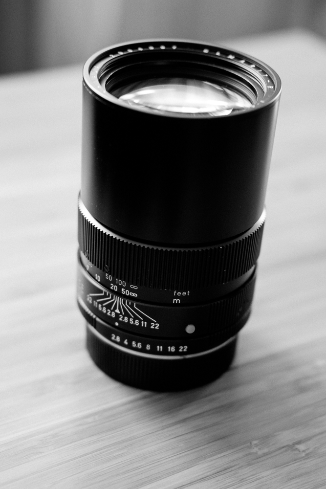 A Mandler from Canada – Elmarit-R 135mm f/2.8
