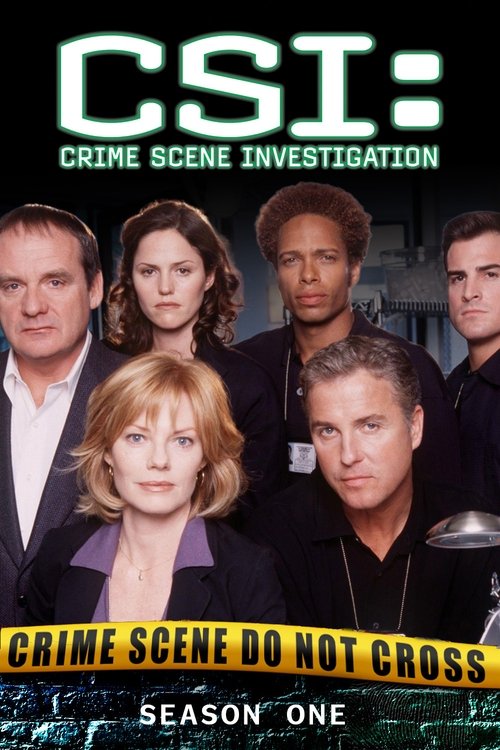 CSI: Crime Scene Investigation (TV Series 2000-2015) - Posters