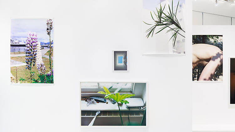 ヴォルフガング・ティルマンス《Moments of Life》