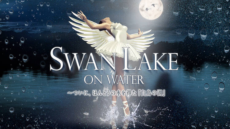SWAN LAKE ON WATER 〜ついに、ほんとうの水を得た「白鳥の湖」