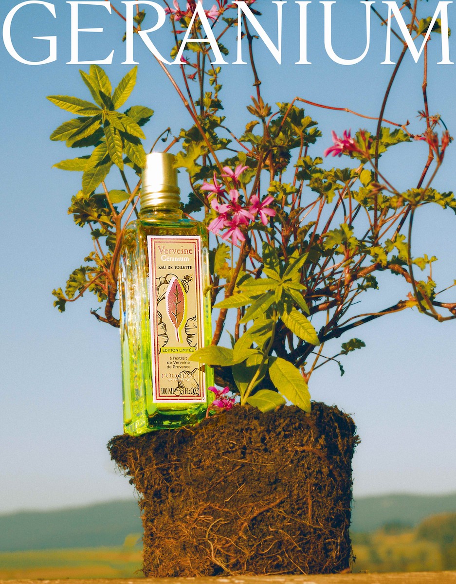 ロクシタン」のヴァーベナシリーズからゼラニウム香る限定シリーズが