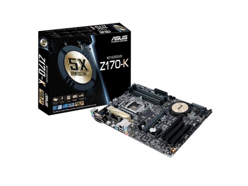 12102343.jpg?width=290