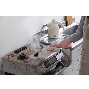 アイリスオーヤマ スチームクリーナーハンディタイプ STM-305R-C