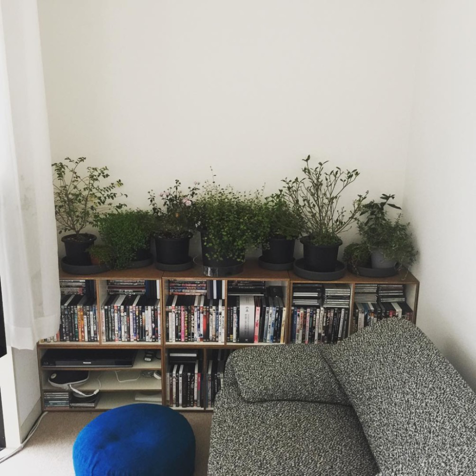 自由につかえる箱型シェルフ LAUAN SHELVES | D&DEPARTMENT