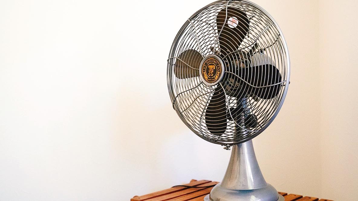 マイ定番スタイルがAR化！ 「涼しくなっても手放したくない扇風機」を