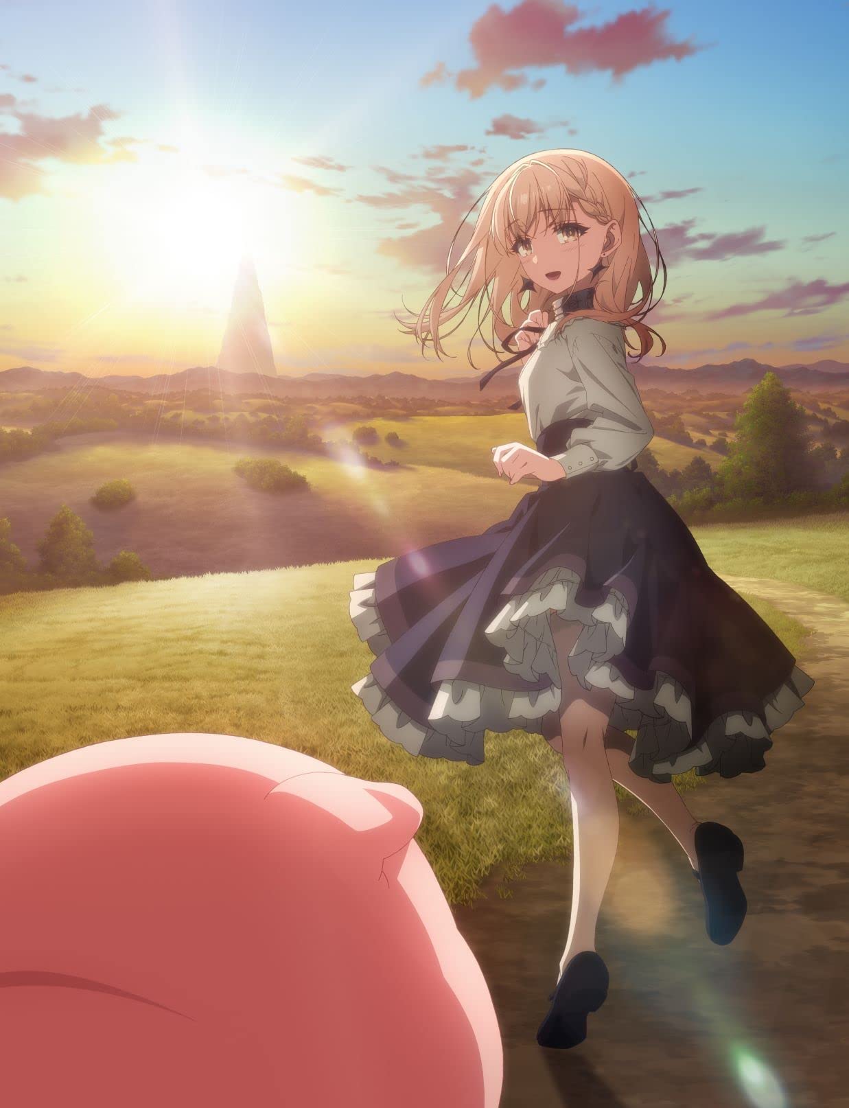 Amazon.co.jp: 『豚のレバーは過熱しろ』特集: DVD