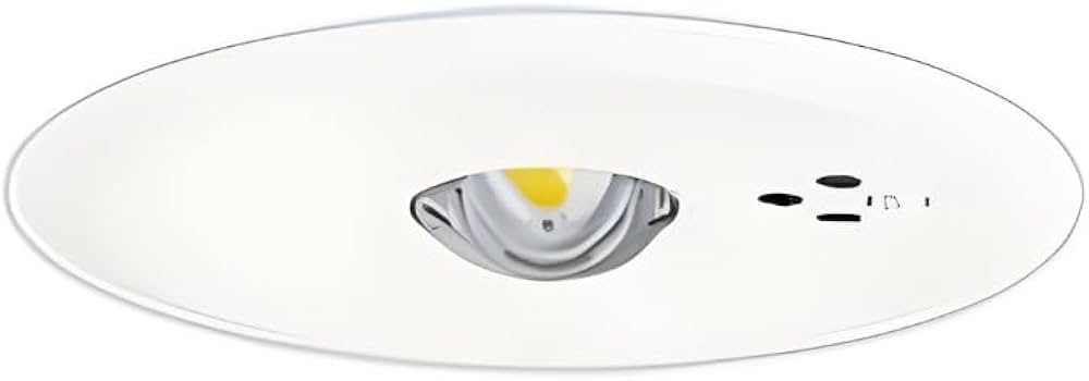 Amazon | パナソニック(Panasonic) LED非常用照明器具 NNFB90605K 天井