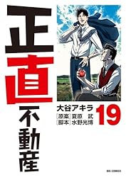 正直不動産（23） (ビッグコミックス) | 大谷アキラ, 夏原武, 水野