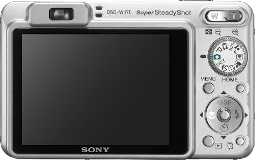 Amazon.com : Sony Cybershot DSCW170 10.1MP Digital Camera with 5x
