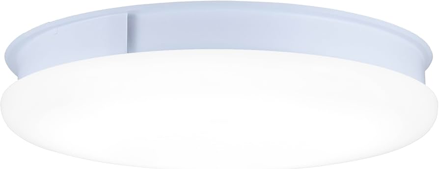 Amazon.co.jp : スワン電器 【空気清浄機能付き照明】空気をキレイにし