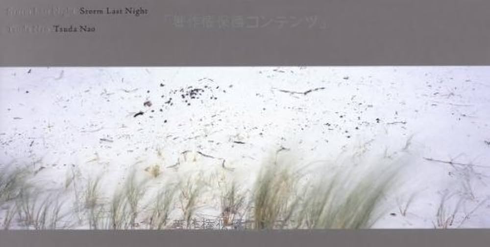 Amazon.co.jp: Storm Last Night : 津田 直: 本