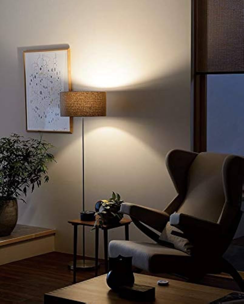Amazon.co.jp: ODELIC スタンド フロアスタンド 電球色 R15高演色LED
