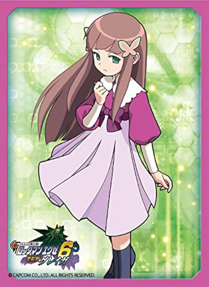 Amazon | ブロッコリーキャラクタースリーブ ロックマン エグゼ6