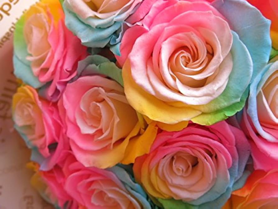 Amazon｜レインボーローズ 花束 プリザーブドフラワー バラ 30本 花束