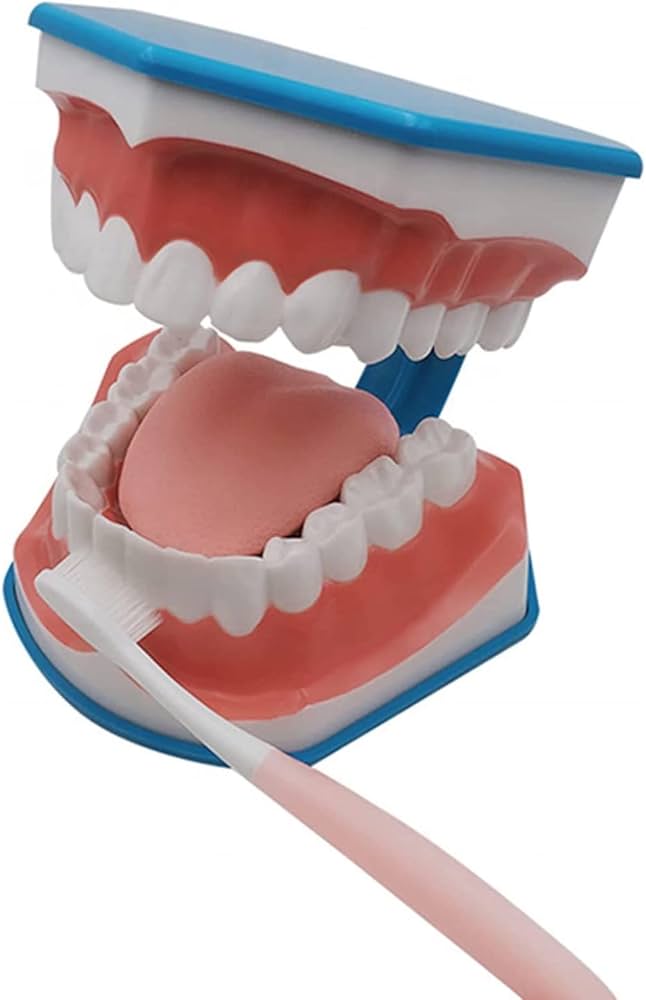 51MXSlx3QwL._AC_UF894,